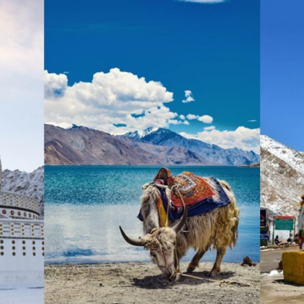 Adventure of Ladakh