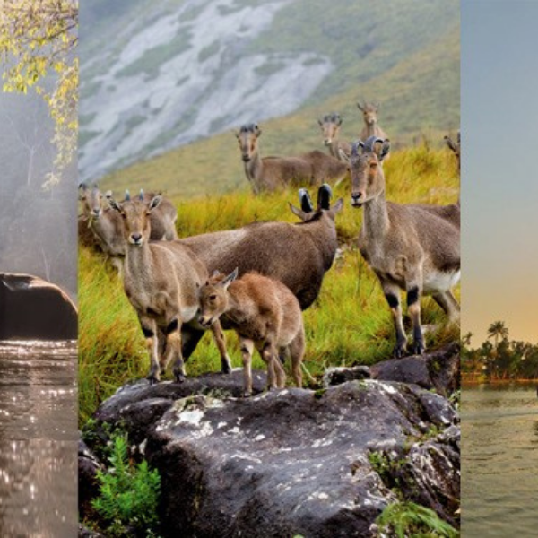 God's Own Kerala