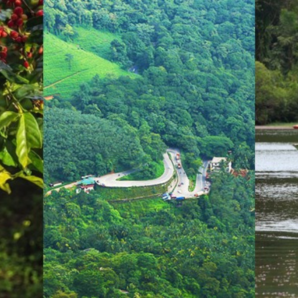 Serene Coorg & Wayanad